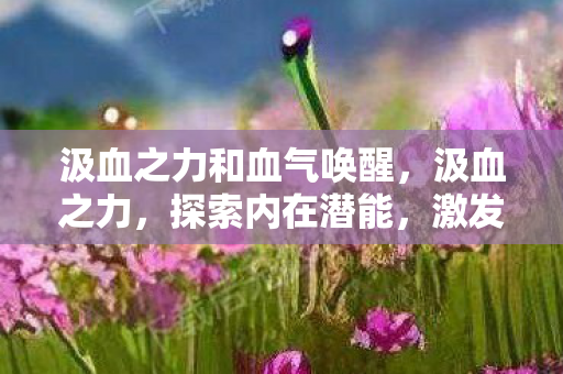 汲血之力和血气唤醒，汲血之力，探索内在潜能，激发无限可能