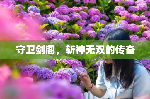 守卫剑阁，斩神无双的传奇