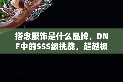 搭念服饰是什么品牌，DNF中的SSS级挑战，超越极限的冒险之旅