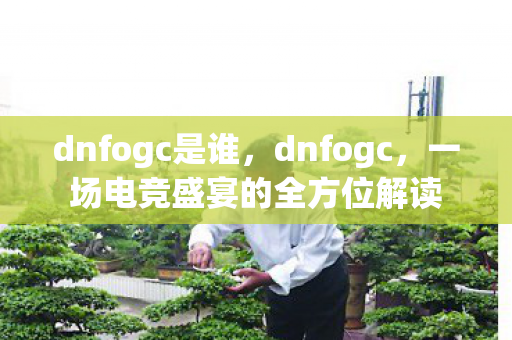 dnfogc是谁，dnfogc，一场电竞盛宴的全方位解读