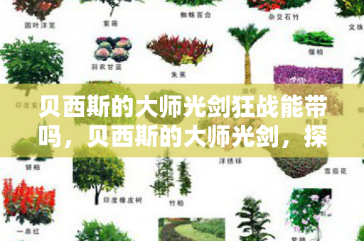 贝西斯的大师光剑狂战能带吗，贝西斯的大师光剑，探索神秘武器背后的传奇故事