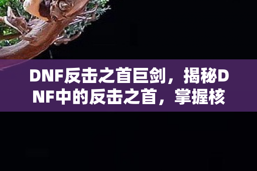 DNF反击之首巨剑，揭秘DNF中的反击之首，掌握核心策略，成为战场上的不败传奇！