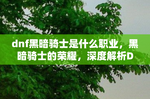 dnf黑暗骑士是什么职业，黑暗骑士的荣耀，深度解析DNF黑暗骑士PK之道