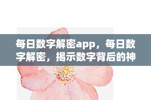 每日数字解密app，每日数字解密，揭示数字背后的神秘面纱