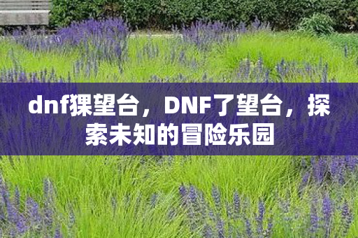 dnf猓望台，DNF了望台，探索未知的冒险乐园