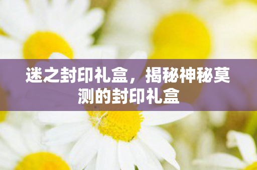 迷之封印礼盒，揭秘神秘莫测的封印礼盒