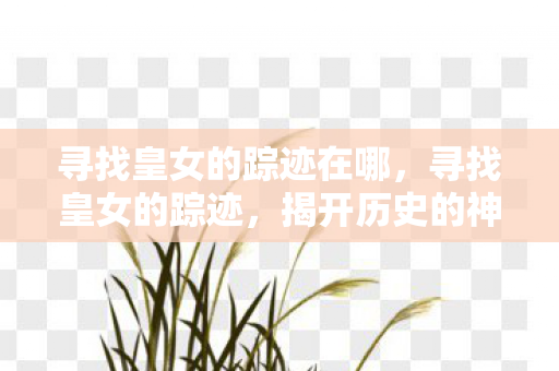 寻找皇女的踪迹在哪，寻找皇女的踪迹，揭开历史的神秘面纱