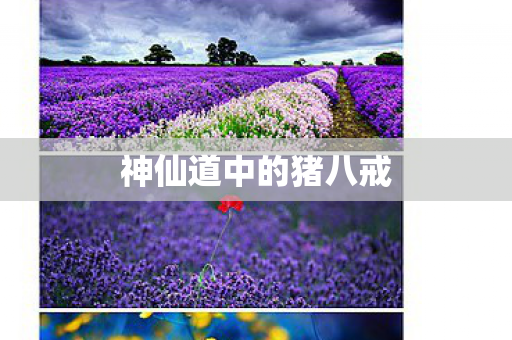 神仙道中的猪八戒