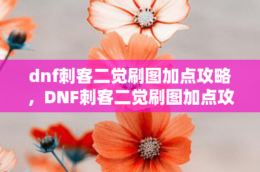 dnf刺客二觉刷图加点攻略，DNF刺客二觉刷图加点攻略