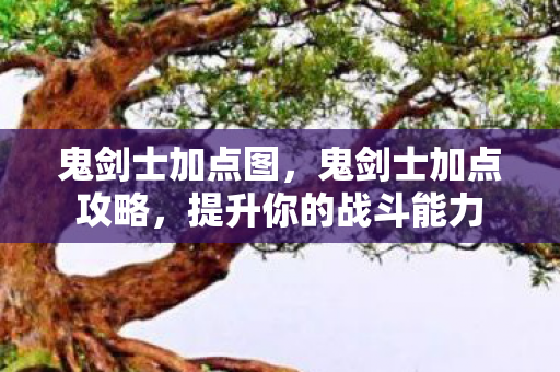 鬼剑士加点图，鬼剑士加点攻略，提升你的战斗能力