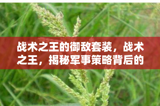 战术之王的御敌套装，战术之王，揭秘军事策略背后的智慧与勇气