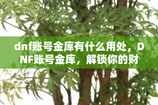 dnf账号金库有什么用处，DNF账号金库，解锁你的财富与收藏新境界