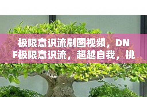 极限意识流刷图视频，DNF极限意识流，超越自我，挑战极限！