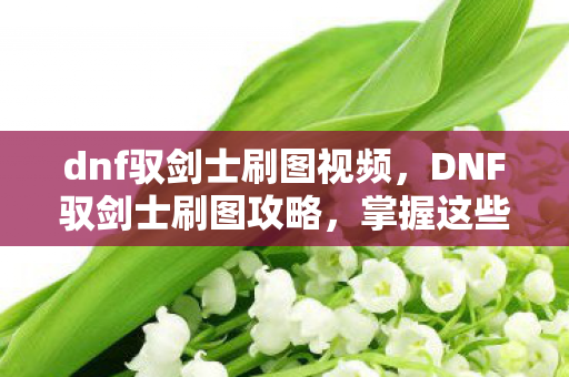 dnf驭剑士刷图视频，DNF驭剑士刷图攻略，掌握这些技巧，轻松通关地下城！