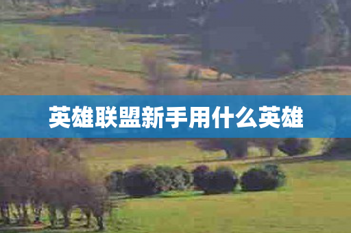 英雄联盟新手用什么英雄