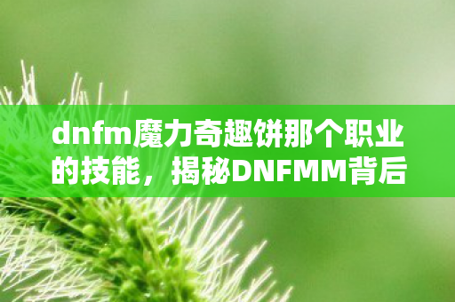 dnfm魔力奇趣饼那个职业的技能，揭秘DNFMM背后的秘密，深度解析游戏魅力与独特体验