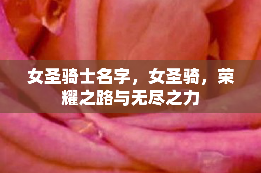 女圣骑士名字，女圣骑，荣耀之路与无尽之力