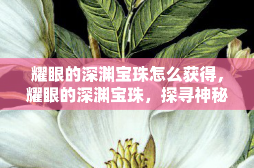耀眼的深渊宝珠怎么获得，耀眼的深渊宝珠，探寻神秘力量的源泉
