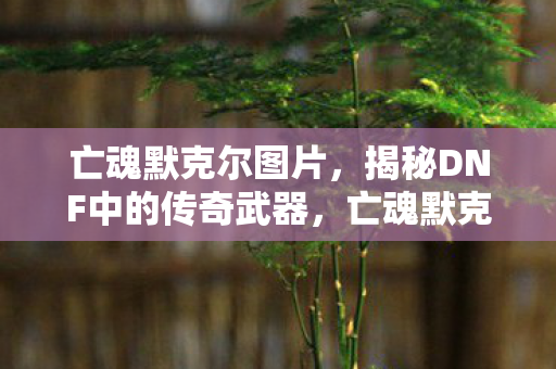 亡魂默克尔图片，揭秘DNF中的传奇武器，亡魂默克尔之泪