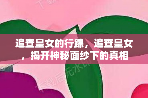追查皇女的行踪，追查皇女，揭开神秘面纱下的真相
