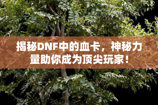揭秘DNF中的血卡，神秘力量助你成为顶尖玩家！