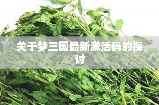 关于梦三国最新激活码的探讨