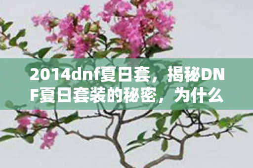 2014dnf夏日套，揭秘DNF夏日套装的秘密，为什么它成为玩家们的首选？