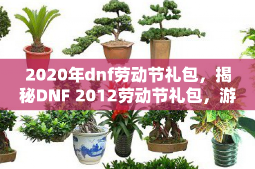 2020年dnf劳动节礼包，揭秘DNF 2012劳动节礼包，游戏内外的惊喜福利！