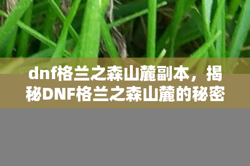 dnf格兰之森山麓副本，揭秘DNF格兰之森山麓的秘密，探险之旅启程！