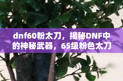 dnf60粉太刀，揭秘DNF中的神秘武器，65级粉色太刀