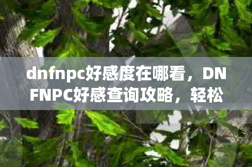 dnfnpc好感度在哪看，DNFNPC好感查询攻略，轻松掌握与NPC互动之道