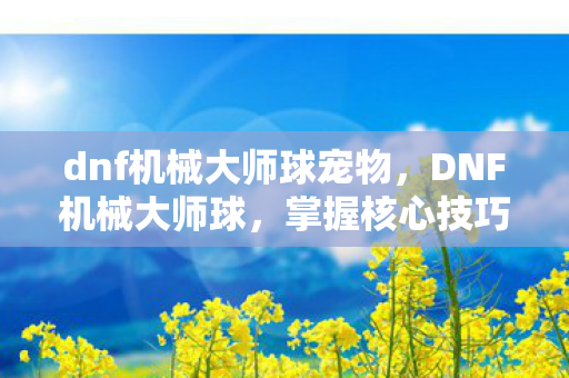 dnf机械大师球宠物，DNF机械大师球，掌握核心技巧，成为决斗高手