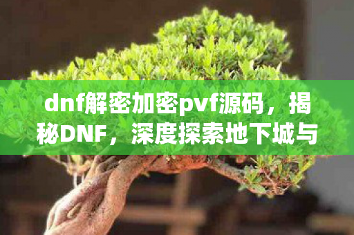 dnf解密加密pvf源码，揭秘DNF，深度探索地下城与勇士的世界