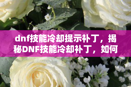 dnf技能冷却提示补丁，揭秘DNF技能冷却补丁，如何巧妙优化游戏体验？