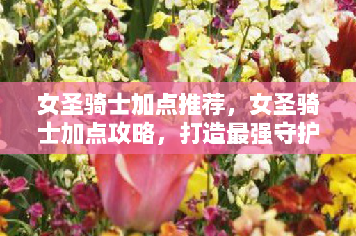 女圣骑士加点推荐，女圣骑士加点攻略，打造最强守护者的秘诀