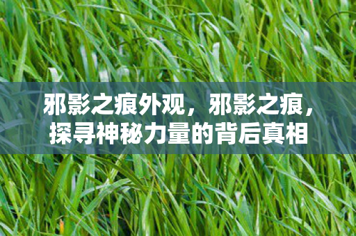 邪影之痕外观，邪影之痕，探寻神秘力量的背后真相