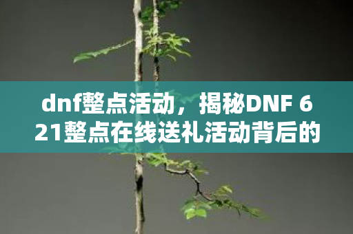 dnf整点活动，揭秘DNF 621整点在线送礼活动背后的故事
