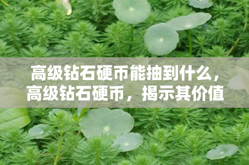高级钻石硬币能抽到什么，高级钻石硬币，揭示其价值、稀缺性与收藏之道