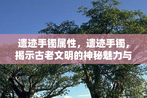 遗迹手镯属性，遗迹手镯，揭示古老文明的神秘魅力与珍贵价值