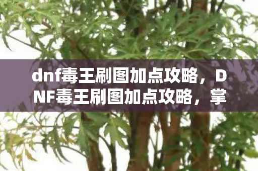 dnf毒王刷图加点攻略，DNF毒王刷图加点攻略，掌握技能分配，轻松提升效率