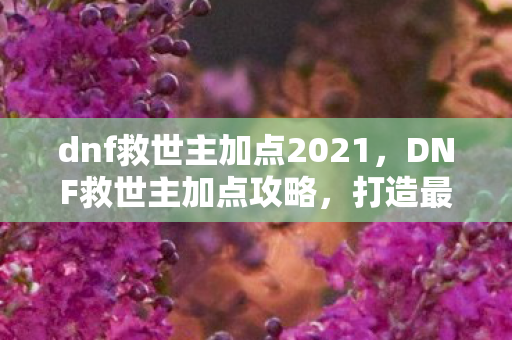 dnf救世主加点2021，DNF救世主加点攻略，打造最强辅助角色