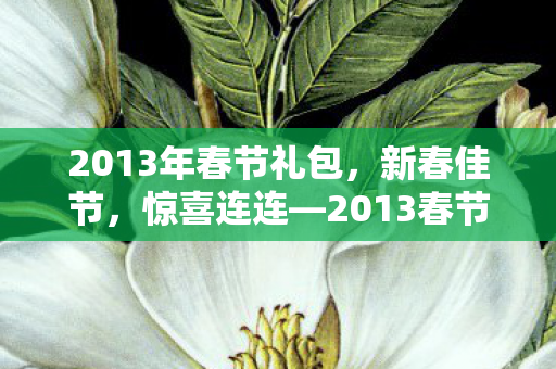2013年春节礼包，新春佳节，惊喜连连—2013春节礼包大放送