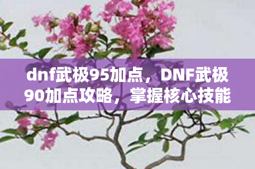dnf武极95加点，DNF武极90加点攻略，掌握核心技能，成为战场主宰