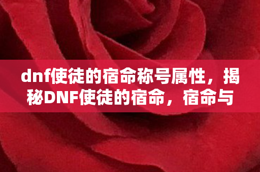 dnf使徒的宿命称号属性，揭秘DNF使徒的宿命，宿命与抉择的双重奏
