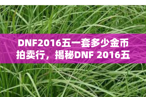 DNF2016五一套多少金币拍卖行，揭秘DNF 2016五一套，全新外观与独特属性引领游戏新风尚