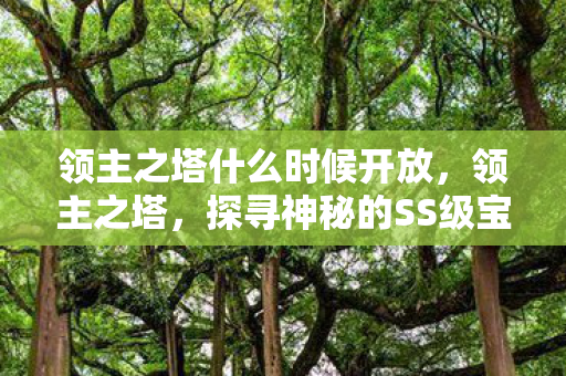 领主之塔什么时候开放，领主之塔，探寻神秘的SS级宝藏之旅