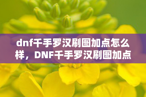 dnf千手罗汉刷图加点怎么样，DNF千手罗汉刷图加点攻略，技能分配与提升策略