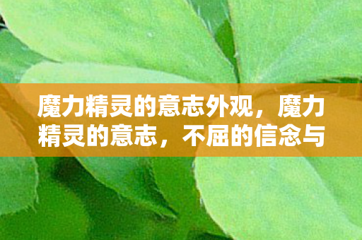 魔力精灵的意志外观，魔力精灵的意志，不屈的信念与无尽的勇气