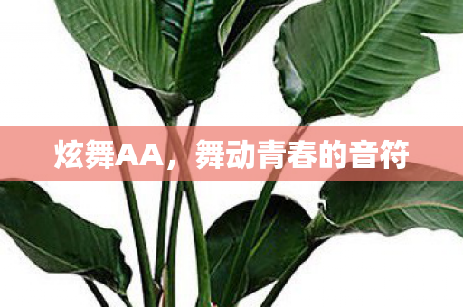 炫舞AA，舞动青春的音符