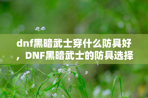 dnf黑暗武士穿什么防具好，DNF黑暗武士的防具选择指南